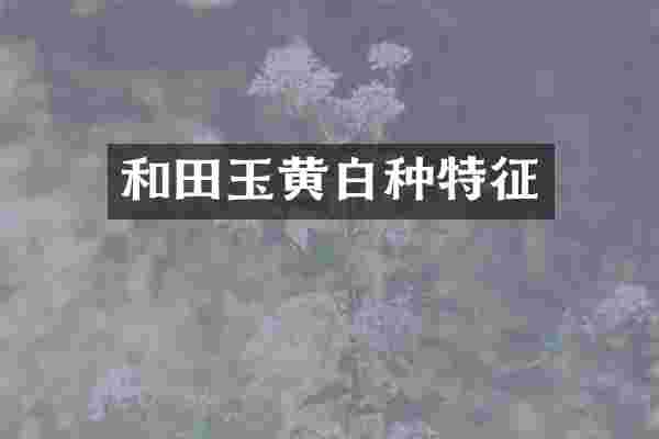 和田玉黄白种特征