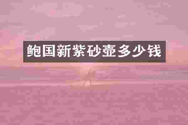 鲍国新紫砂壶多少钱