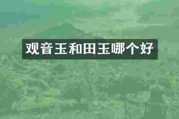 观音玉和田玉哪个好