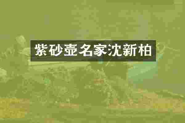 紫砂壶名家沈新柏