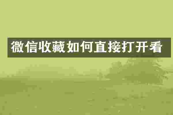 微信收藏如何直接打开看