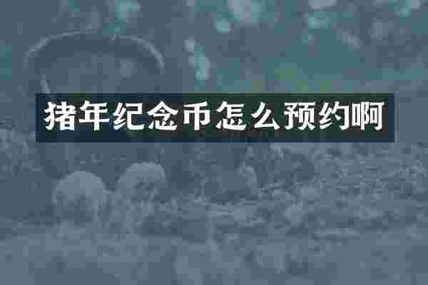 猪年纪念币怎么预约啊