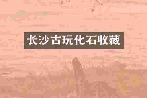 长沙古玩化石收藏