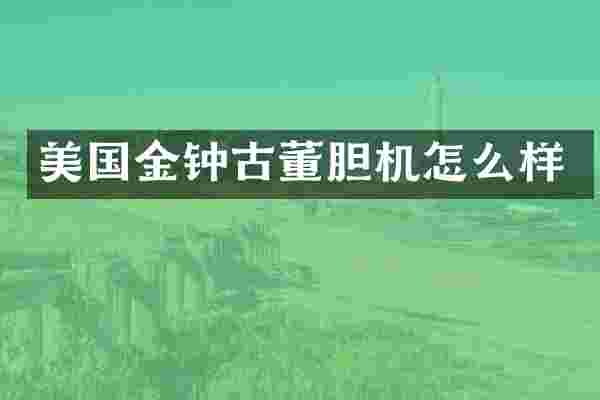 美国金钟古董胆机怎么样