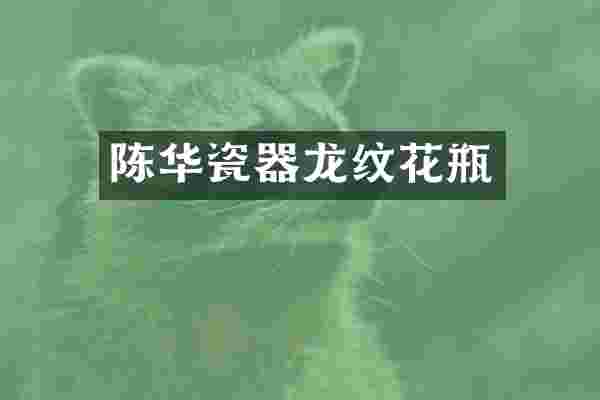 陈华瓷器龙纹花瓶