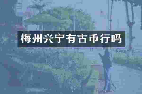 梅州兴宁有古币行吗