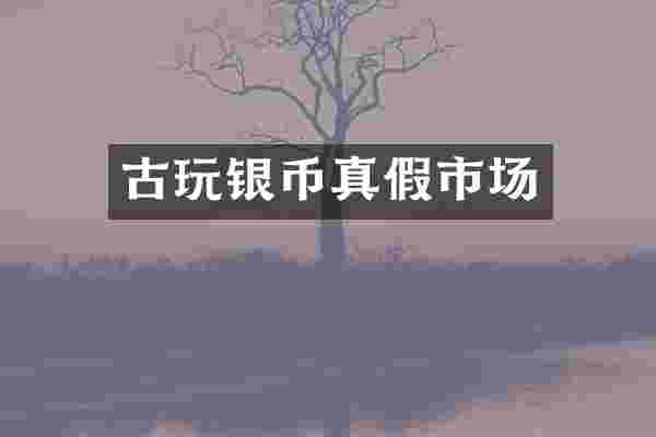 古玩银币真假市场