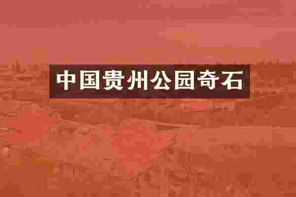 中国贵州公园奇石