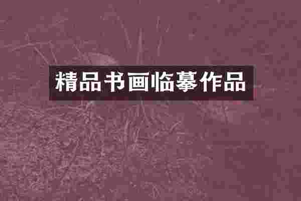 精品书画临摹作品