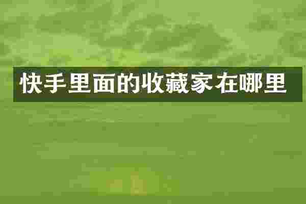快手里面的收藏家在哪里