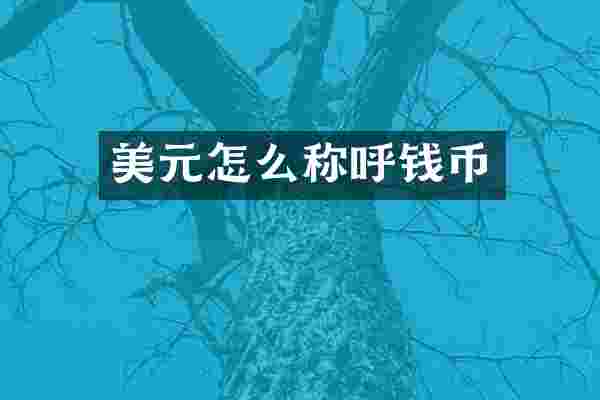 美元怎么称呼钱币