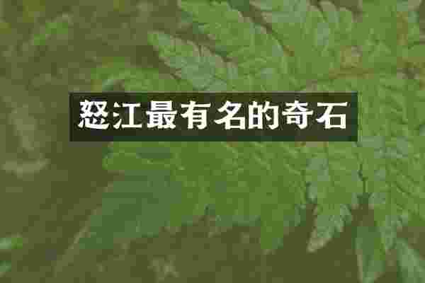 怒江最有名的奇石