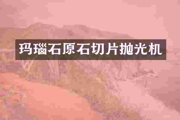 玛瑙石原石切片抛光机