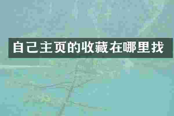 自己主页的收藏在哪里找
