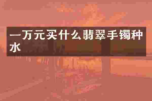 一万元翡翠手镯种水