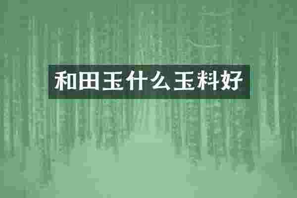 和田玉什么玉料好