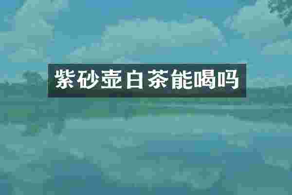 紫砂壶白茶能喝吗