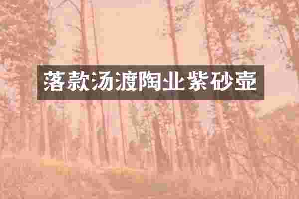 落款汤渡陶业紫砂壶