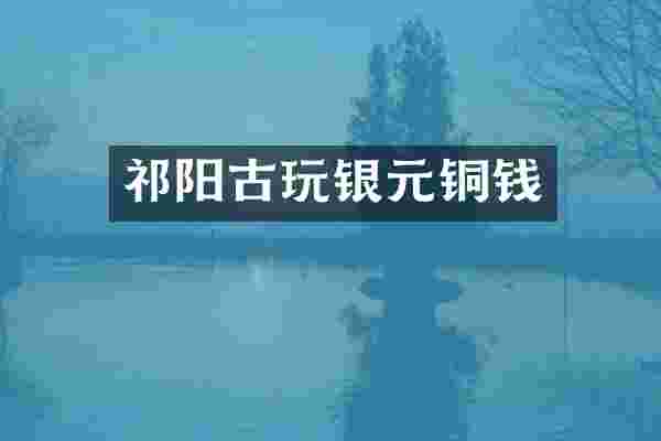 祁阳古玩银元铜钱
