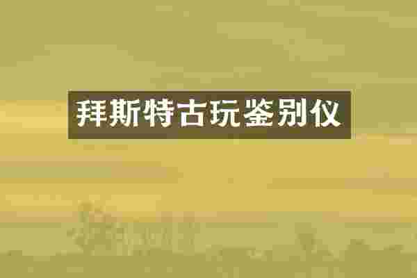 拜斯特古玩鉴别仪