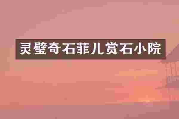 灵璧奇石菲儿赏石小院