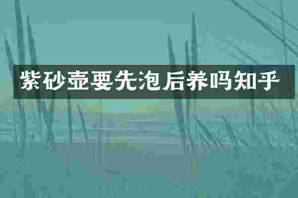 紫砂壶要先泡后养吗知乎