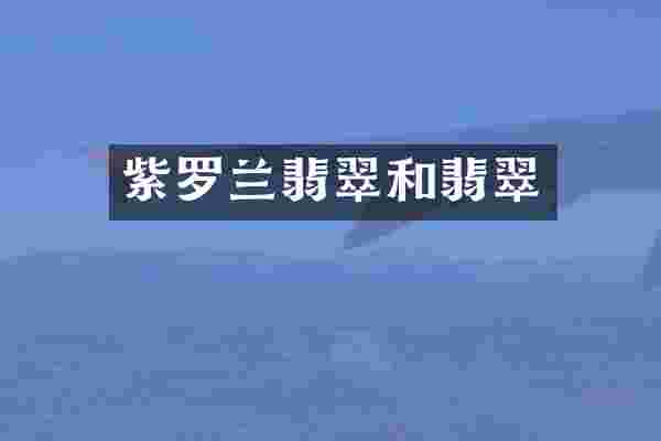 紫罗兰翡翠和翡翠