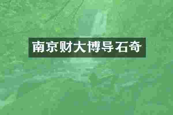 南京财大博导石奇