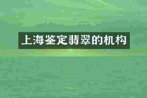 上海鉴定翡翠的机构
