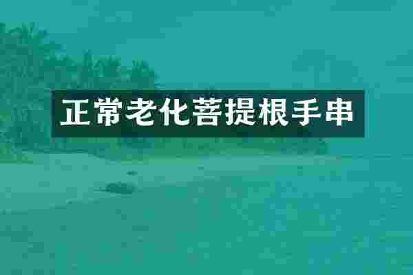 正常老化菩提根手串