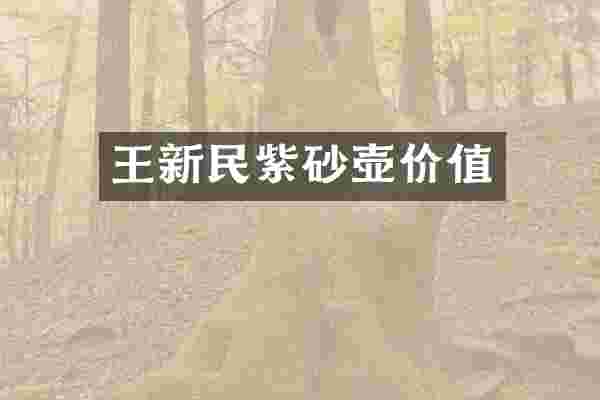 王新民紫砂壶价值