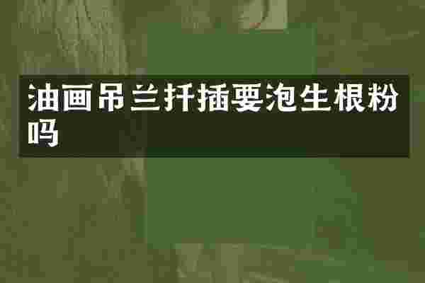 油画吊兰扦插要泡生根粉吗