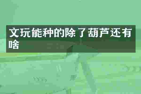 文玩能种的除了葫芦还有啥