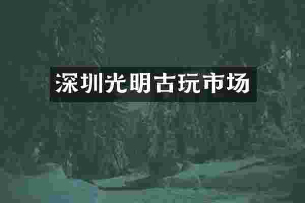 深圳光明古玩市场