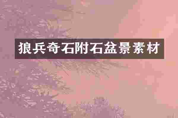 狼兵奇石附石盆景素材