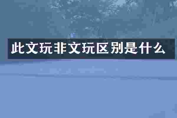 此文玩非文玩区别是什么