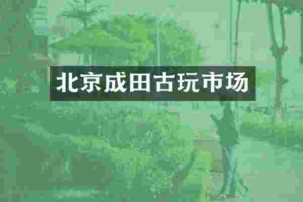 北京成田古玩市场