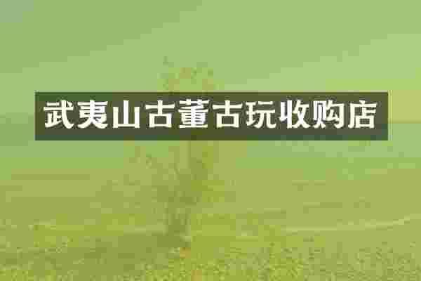 武夷山古董古玩收购店
