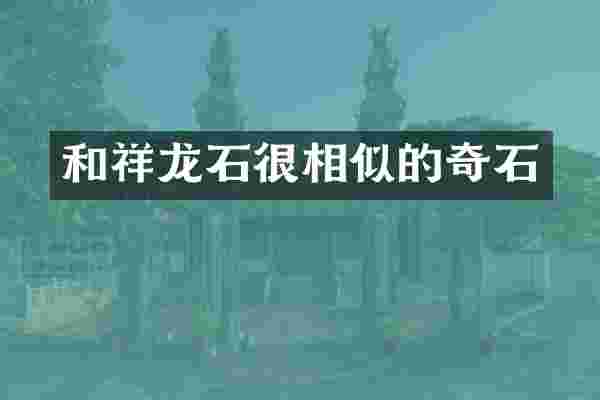 和祥龙石很相似的奇石