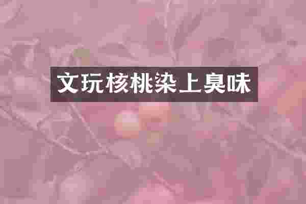 文玩核桃染上臭味