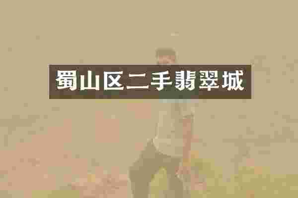 蜀山区二手翡翠城