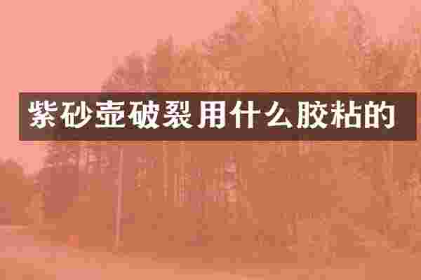 紫砂壶破裂用什么胶粘的