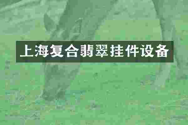 上海复合翡翠挂件设备