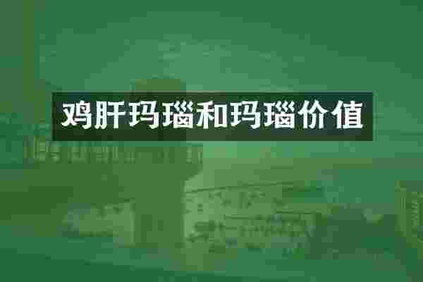鸡肝玛瑙和玛瑙价值
