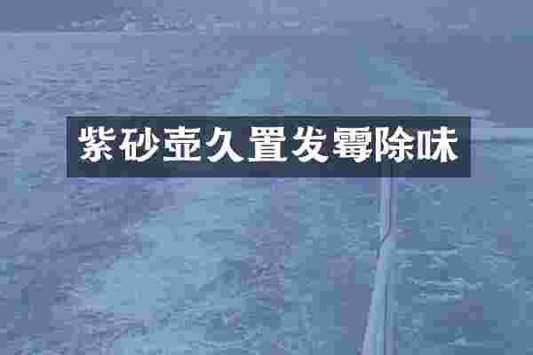 紫砂壶久置发霉除味