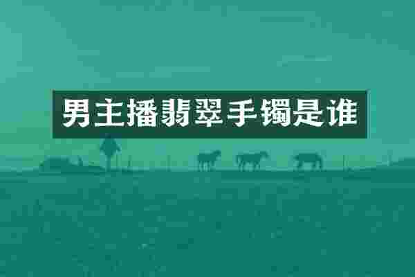 男主播翡翠手镯是谁