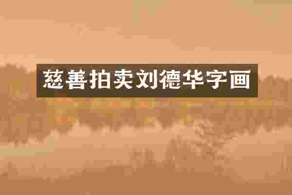 慈善拍卖刘德华字画