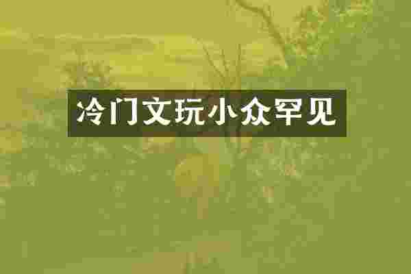 冷门文玩小众罕见