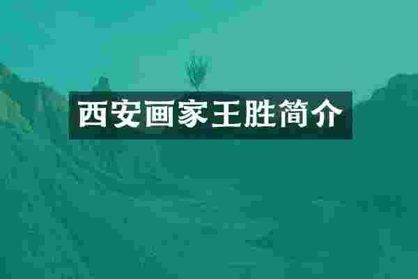 西安画家王胜简介