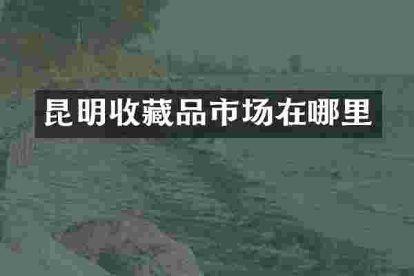 昆明收藏品市场在哪里